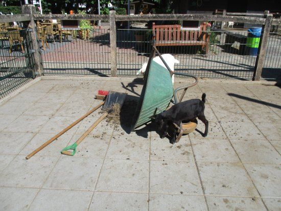 Kinderboerderij Hagerhof